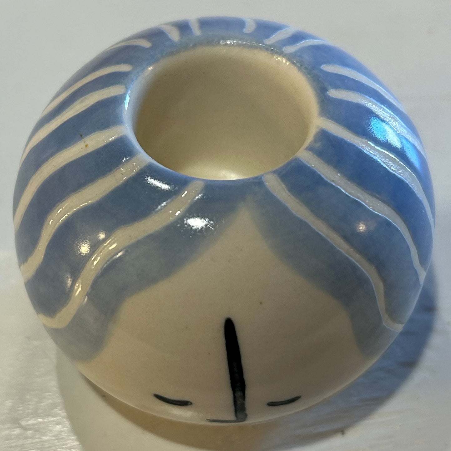 Laina Tillandsia Holder