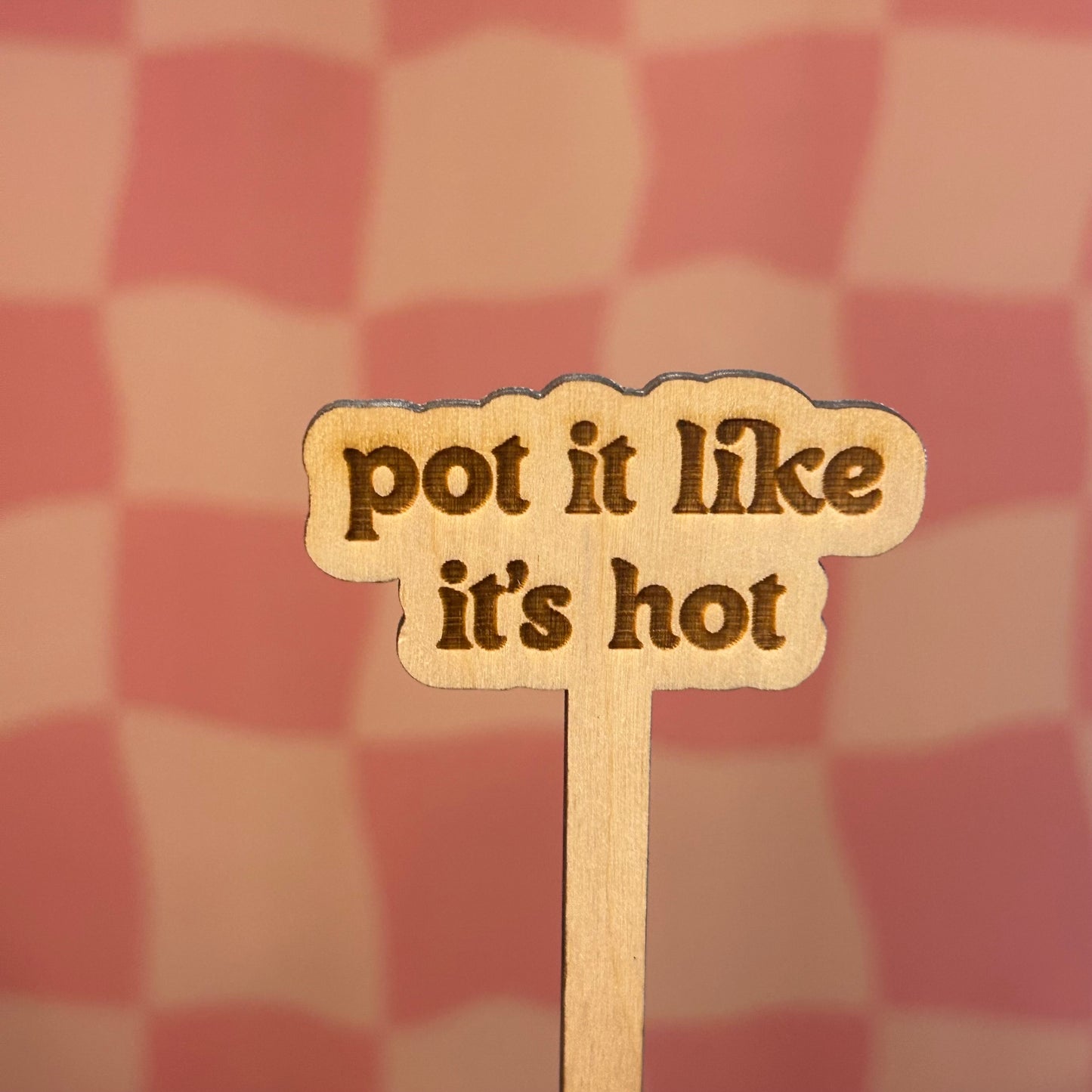 Wooden Plant Stick
