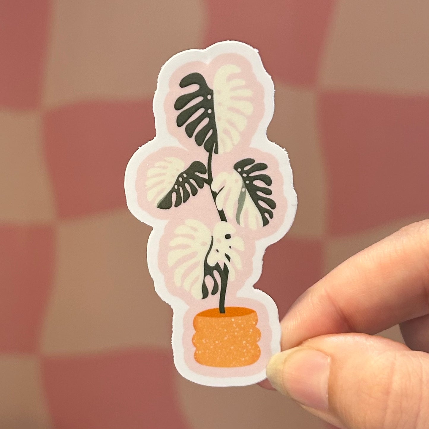 Sticker - Monstera Albo