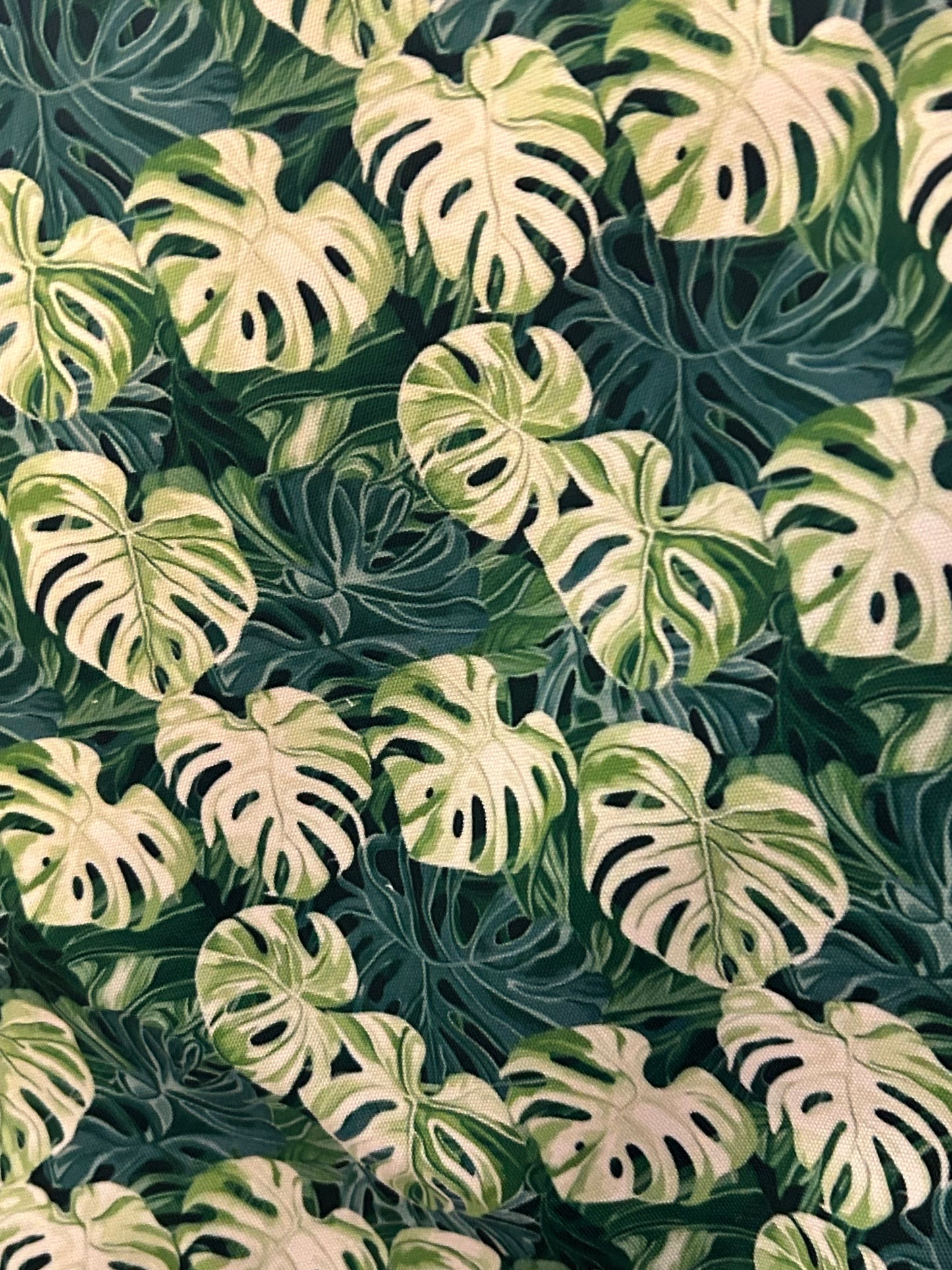 Canvas Tote - Variegated Monstera