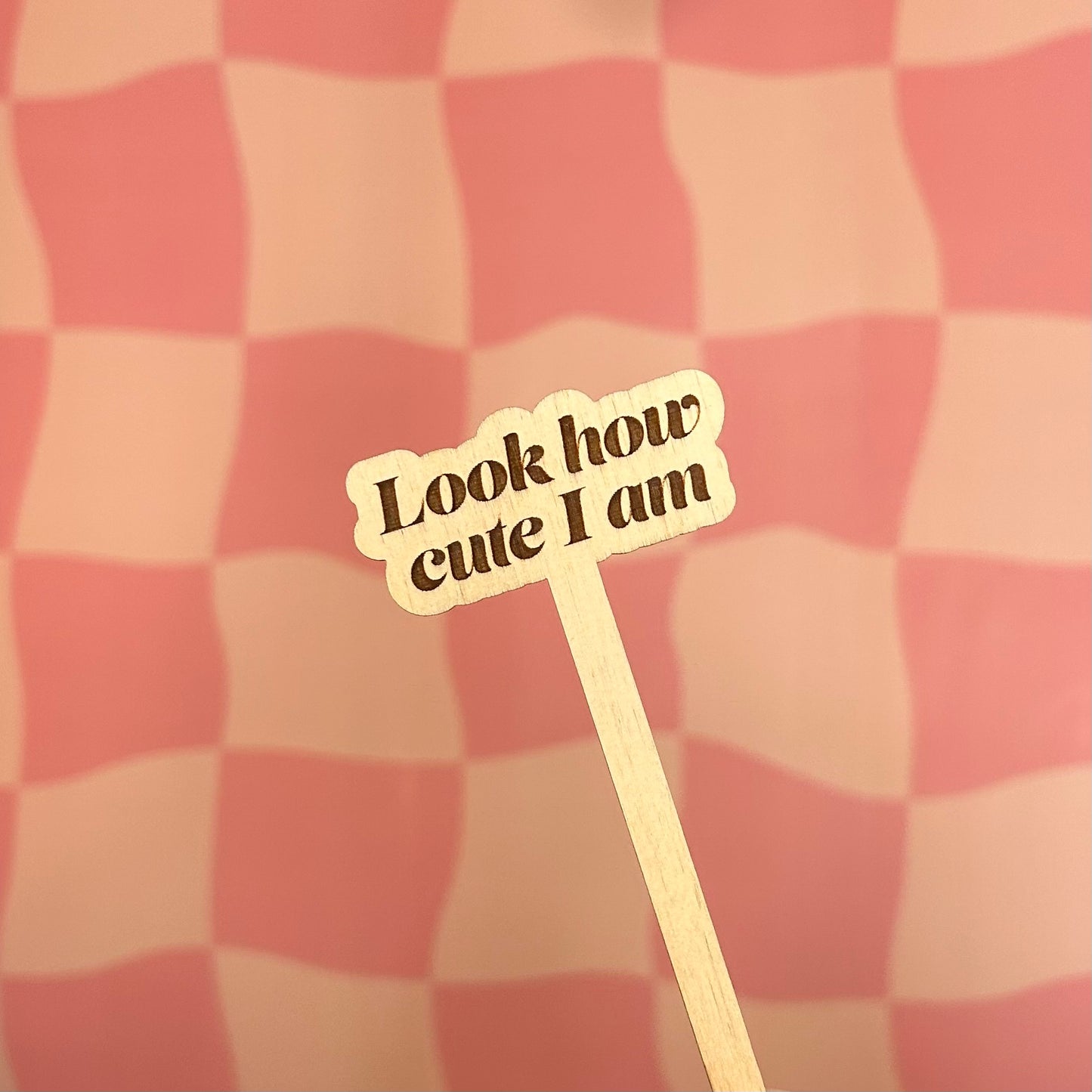 Wooden Plant Stick