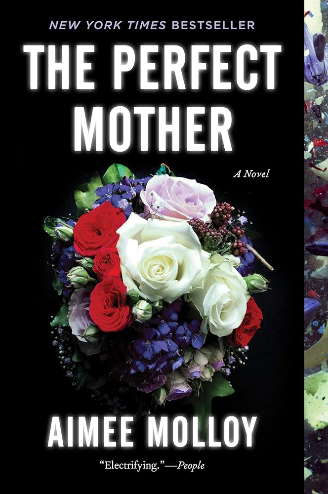 The Perfect Mother: A Novel cover image