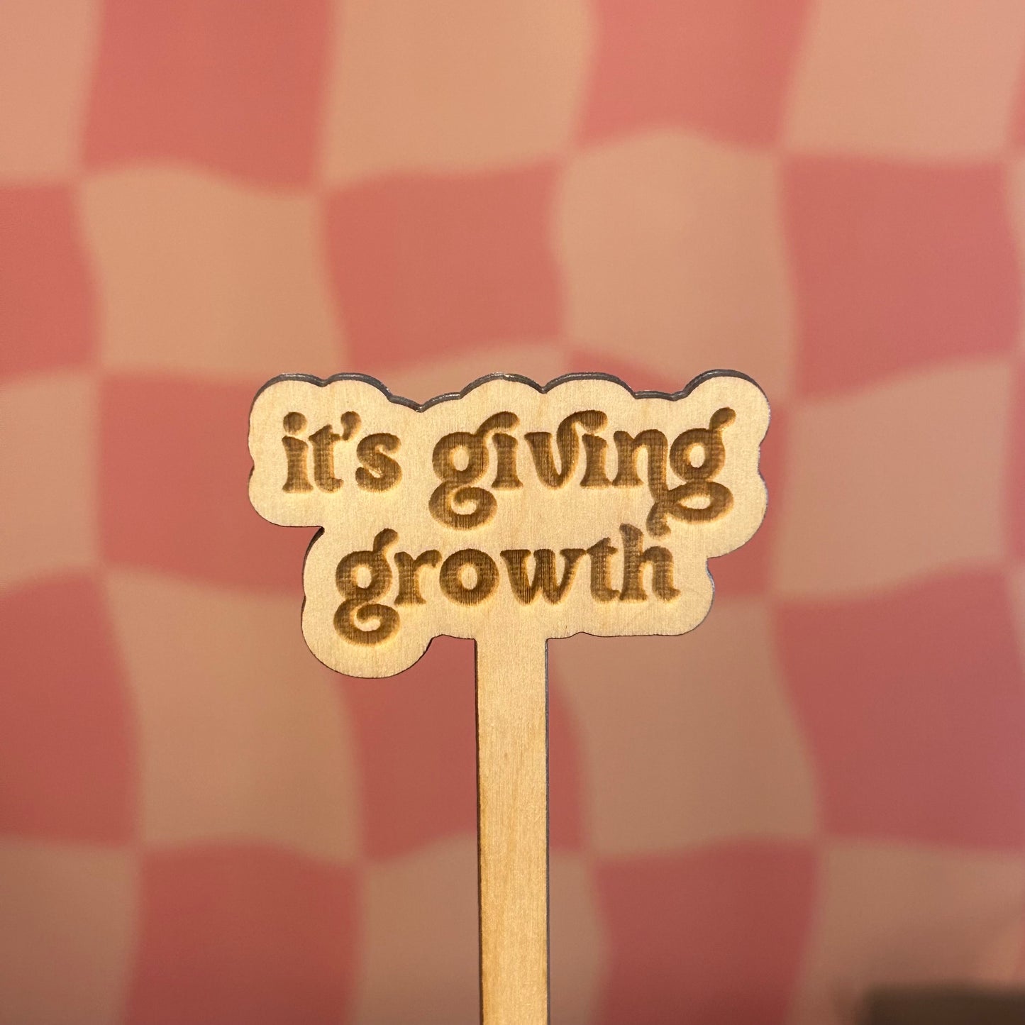 Wooden Plant Stick