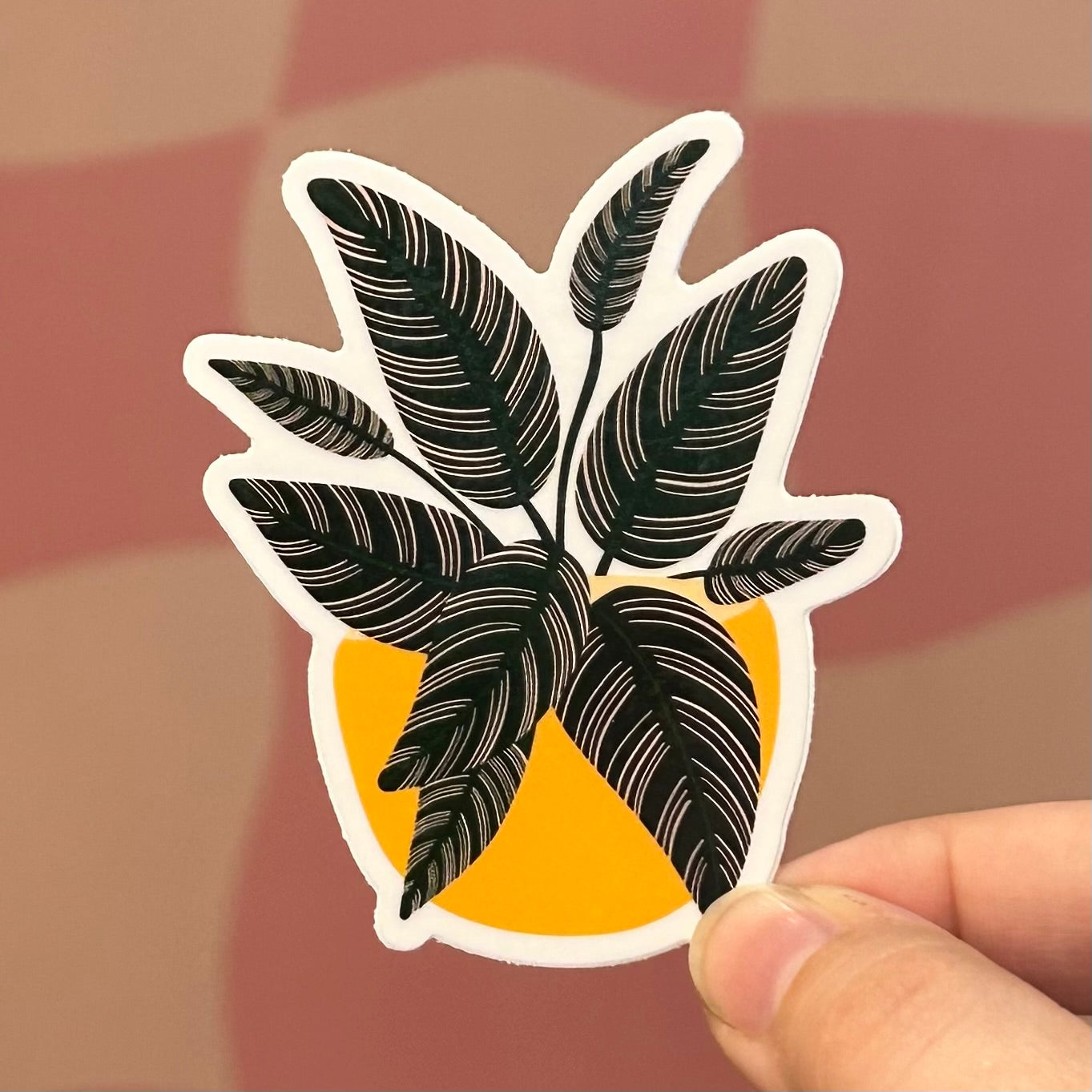 Sticker - Calathea Pinstripe