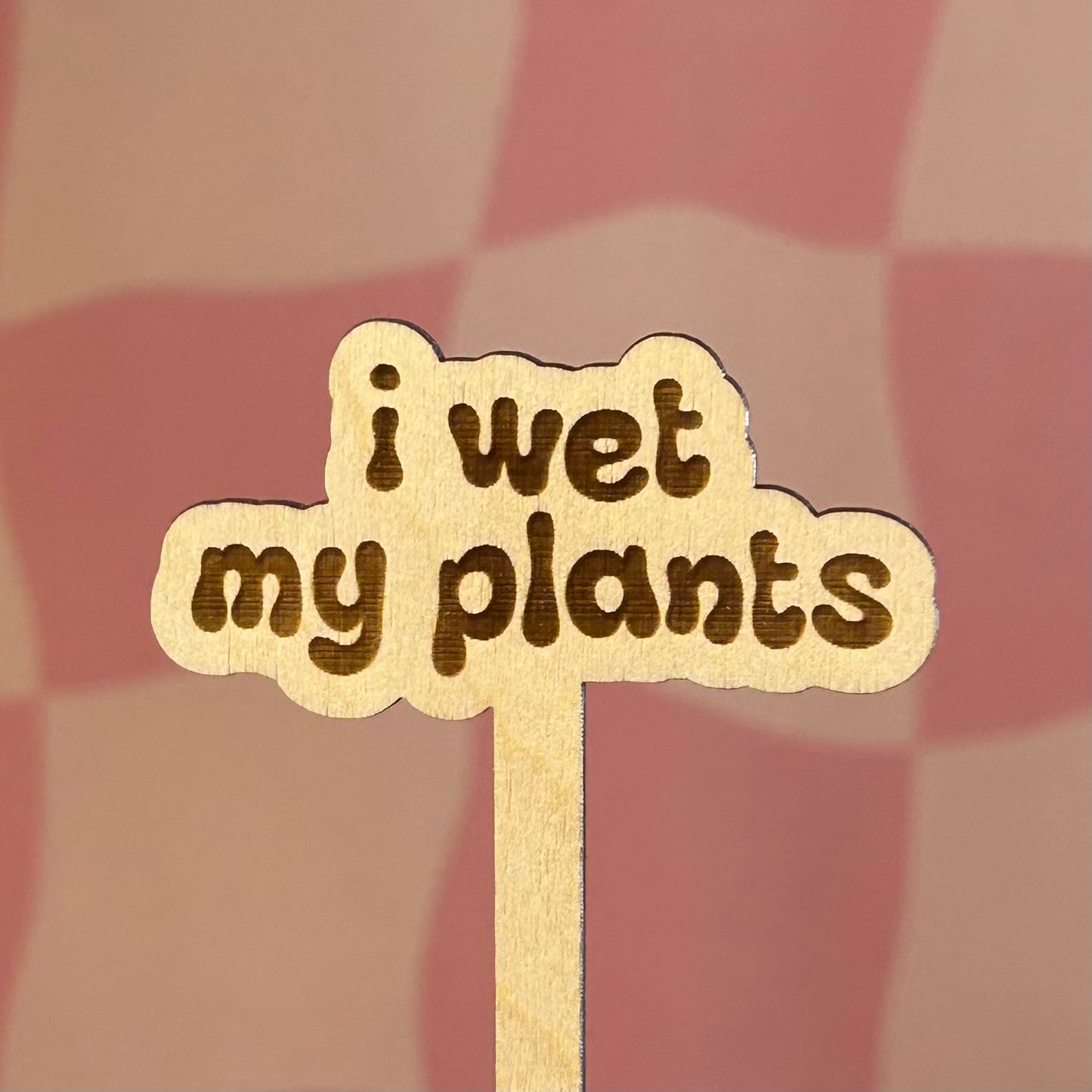 Wooden Plant Stick
