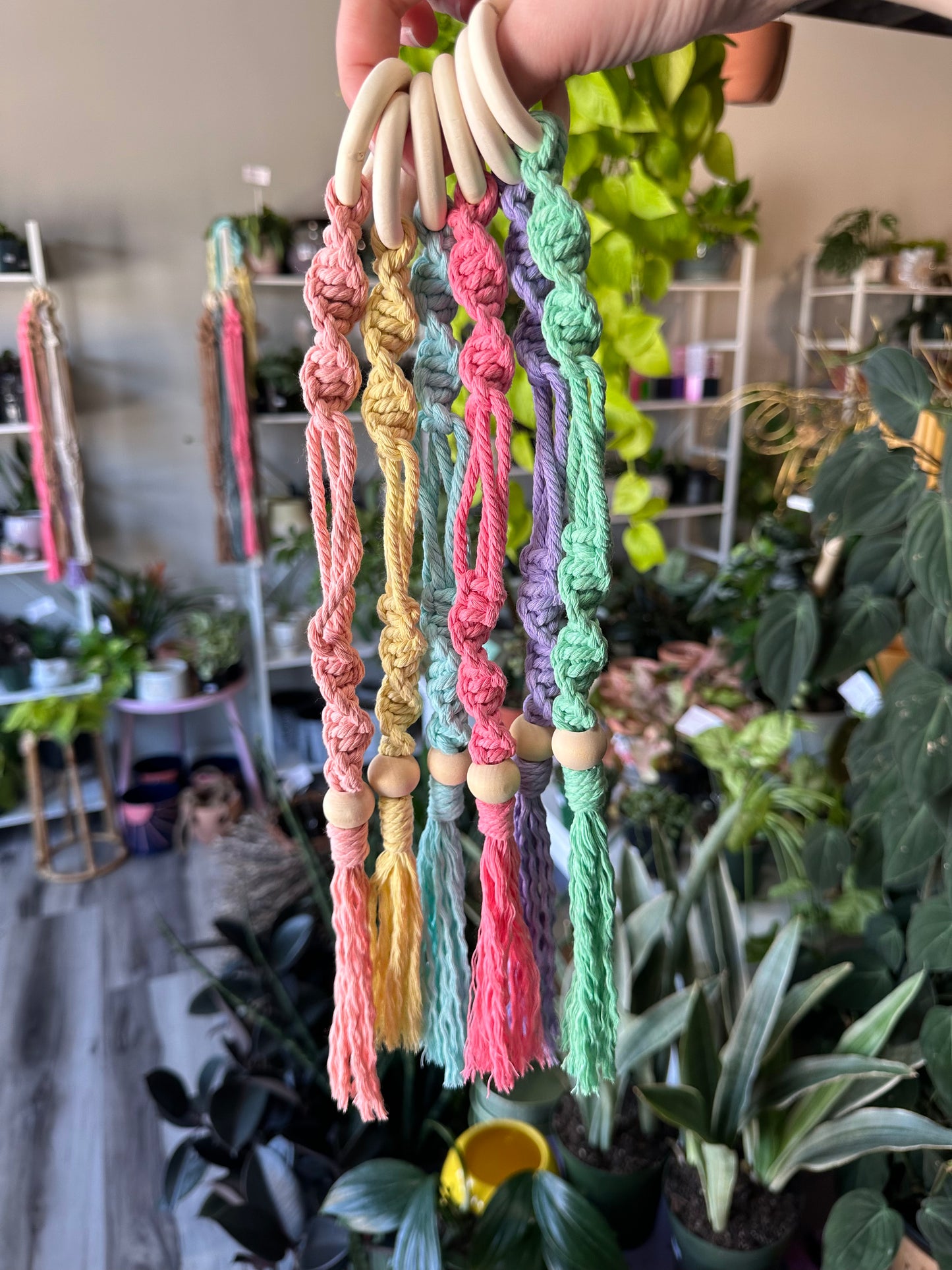 Air Plant Macrame Hanger