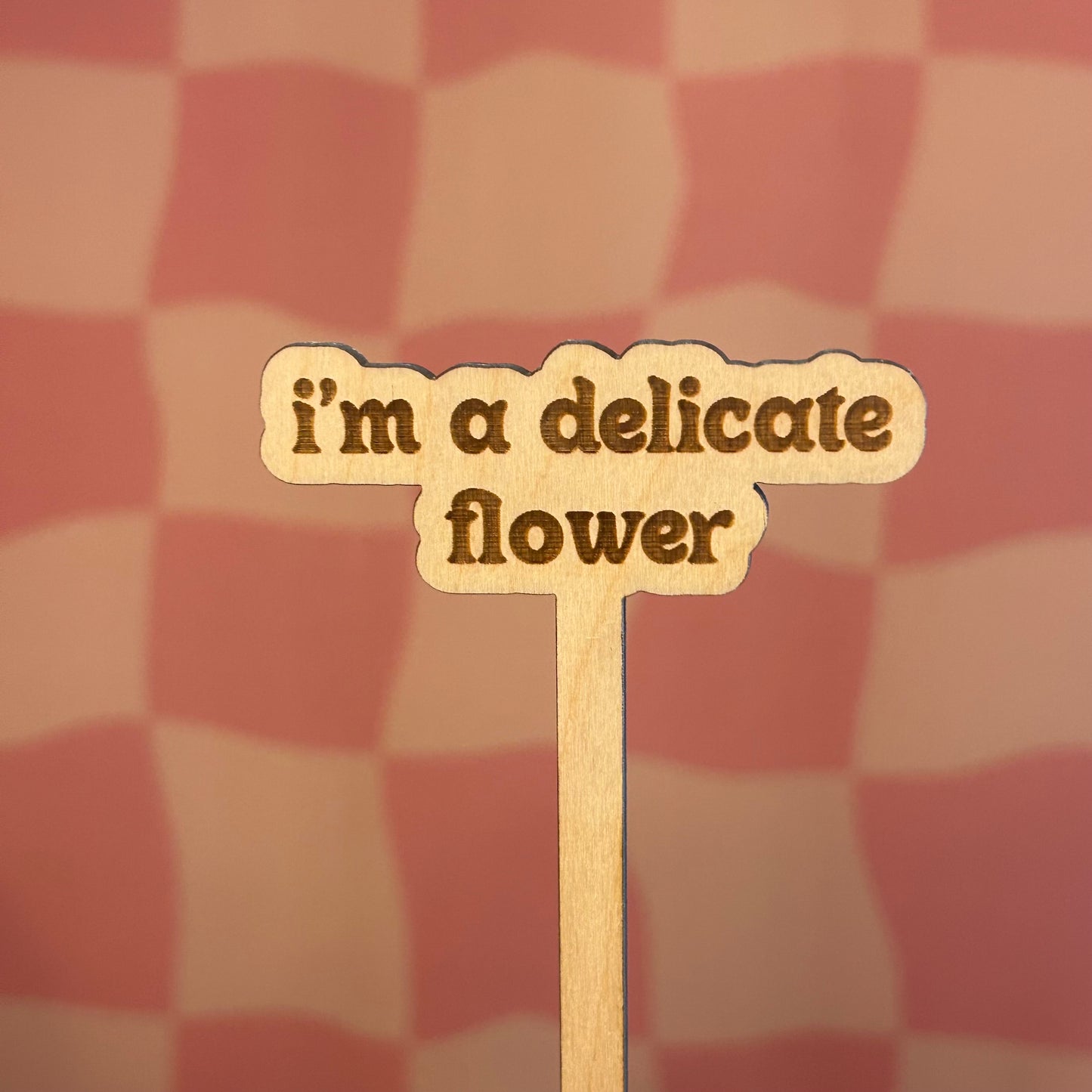 Wooden Plant Stick