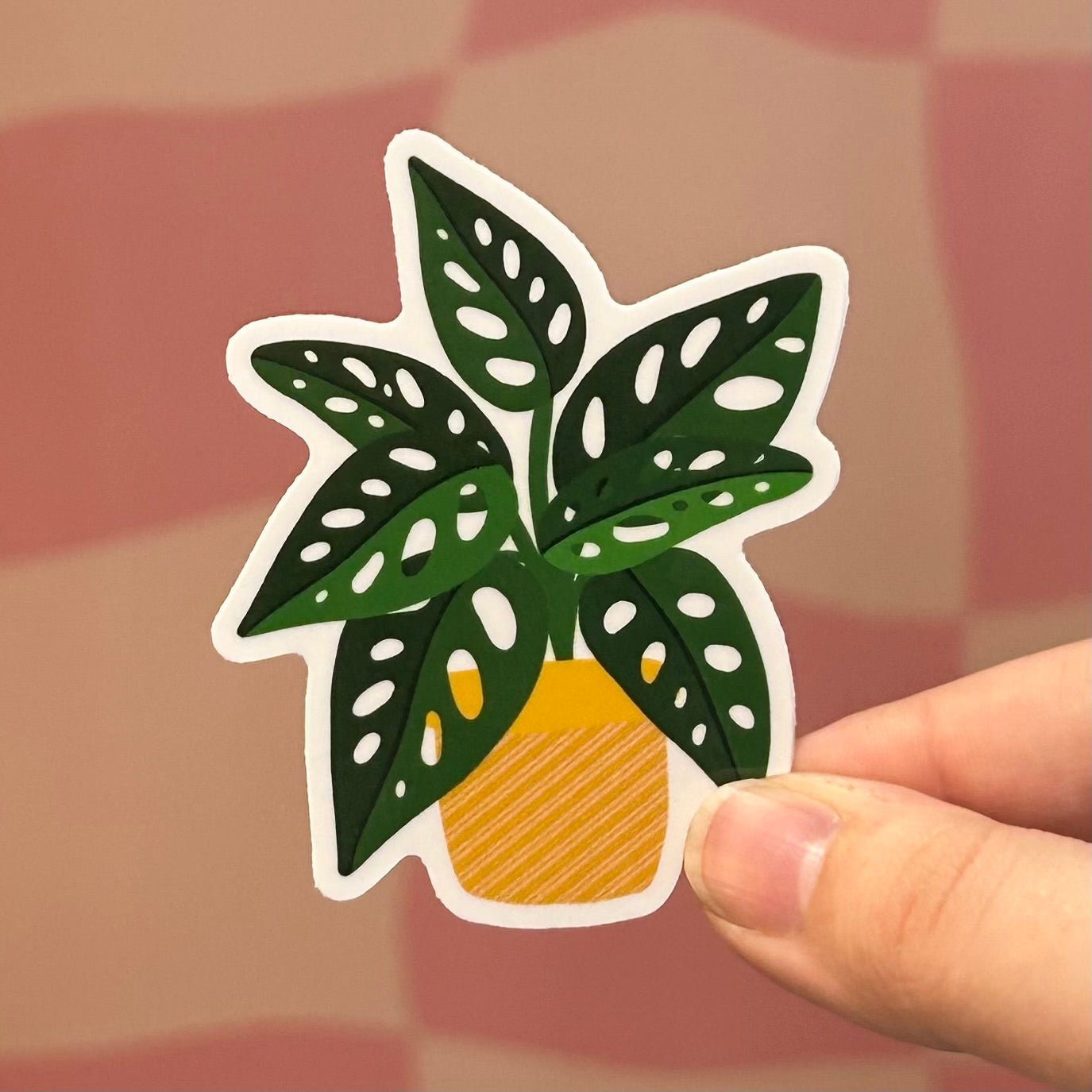 Sticker - Swiss Cheese (Monstera Adansonii)