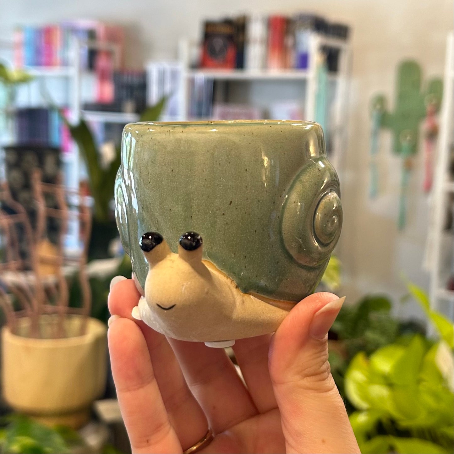 Mini Snail Pot