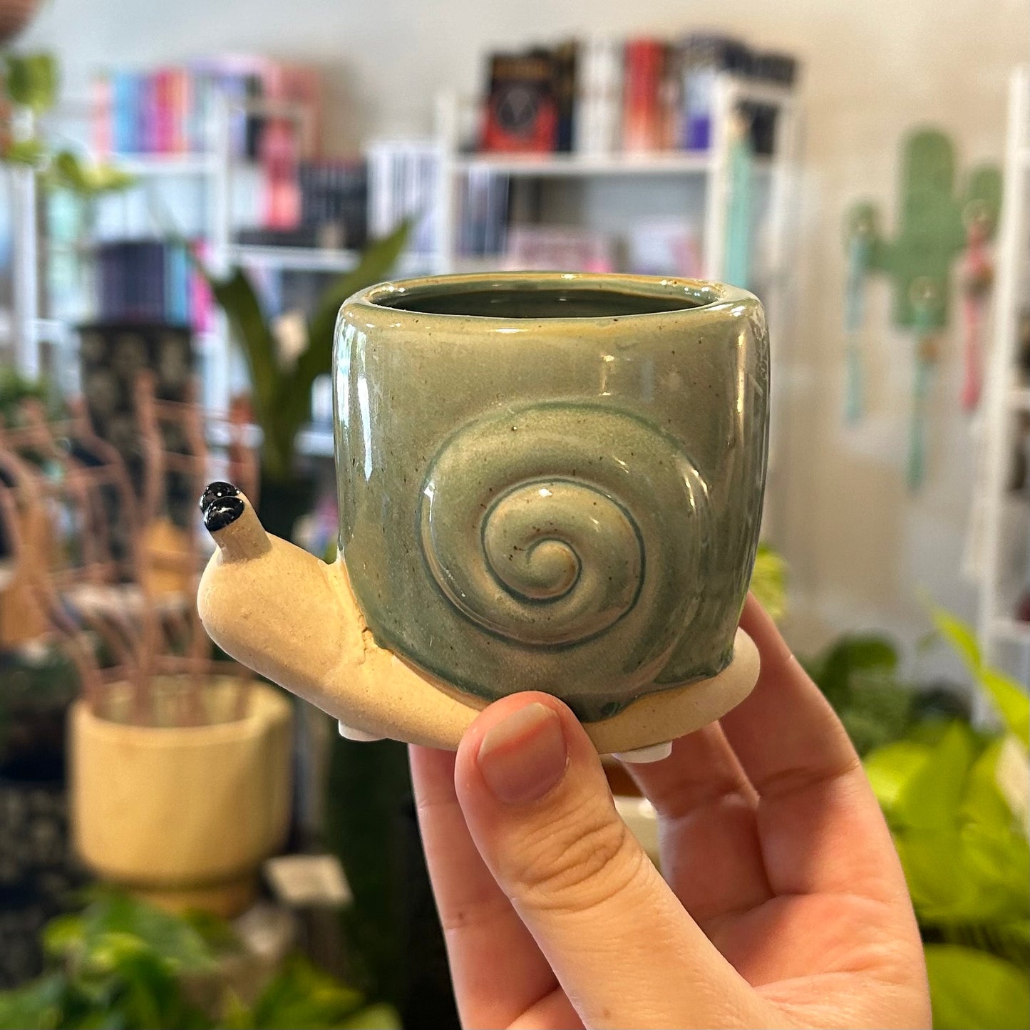 Mini Snail Pot