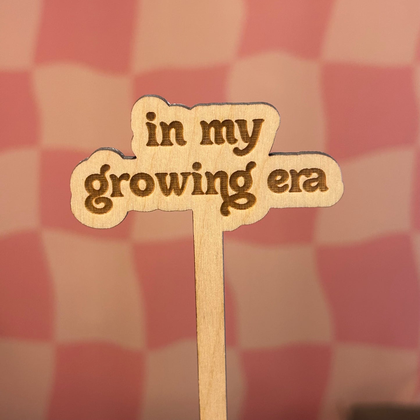 Wooden Plant Stick