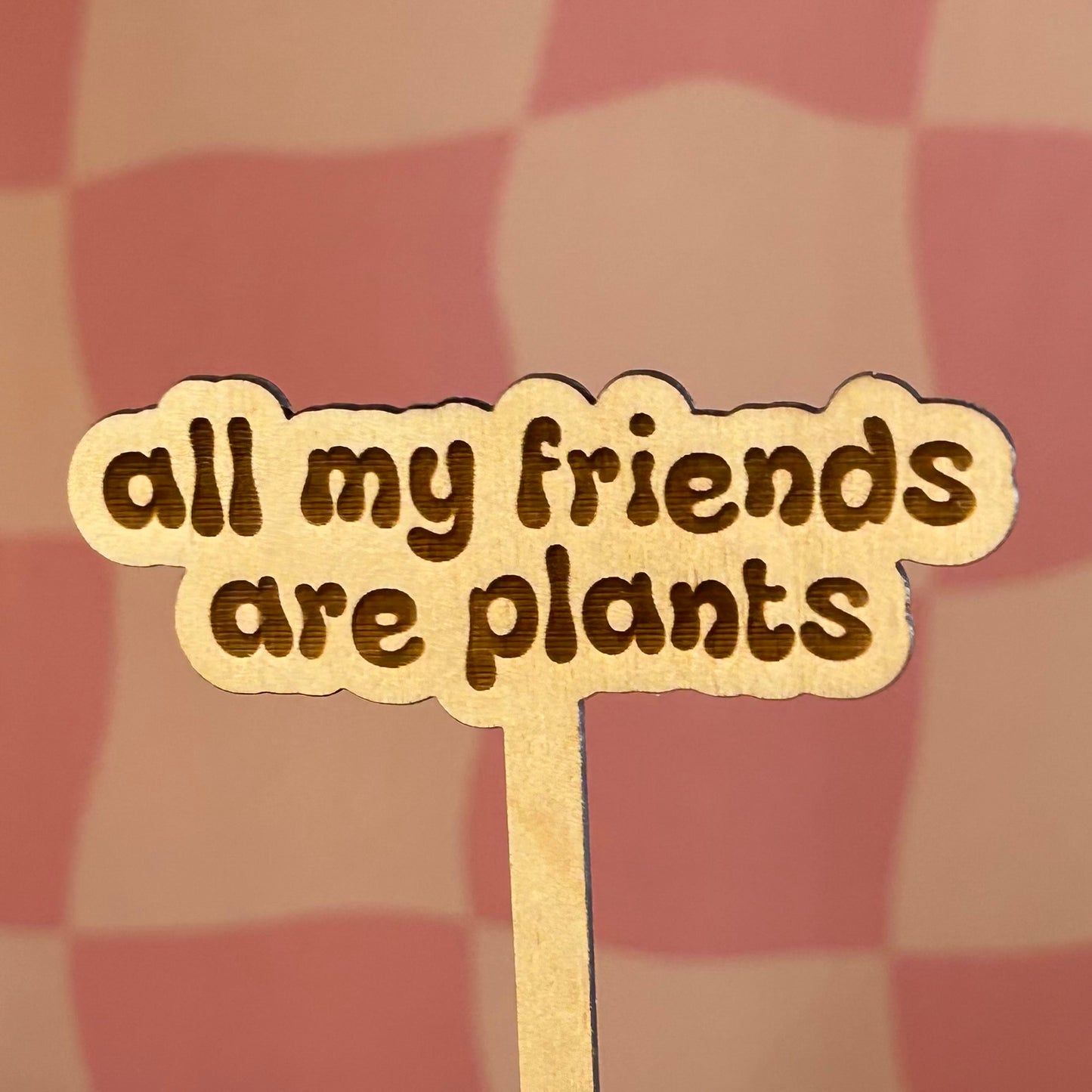 Wooden Plant Stick
