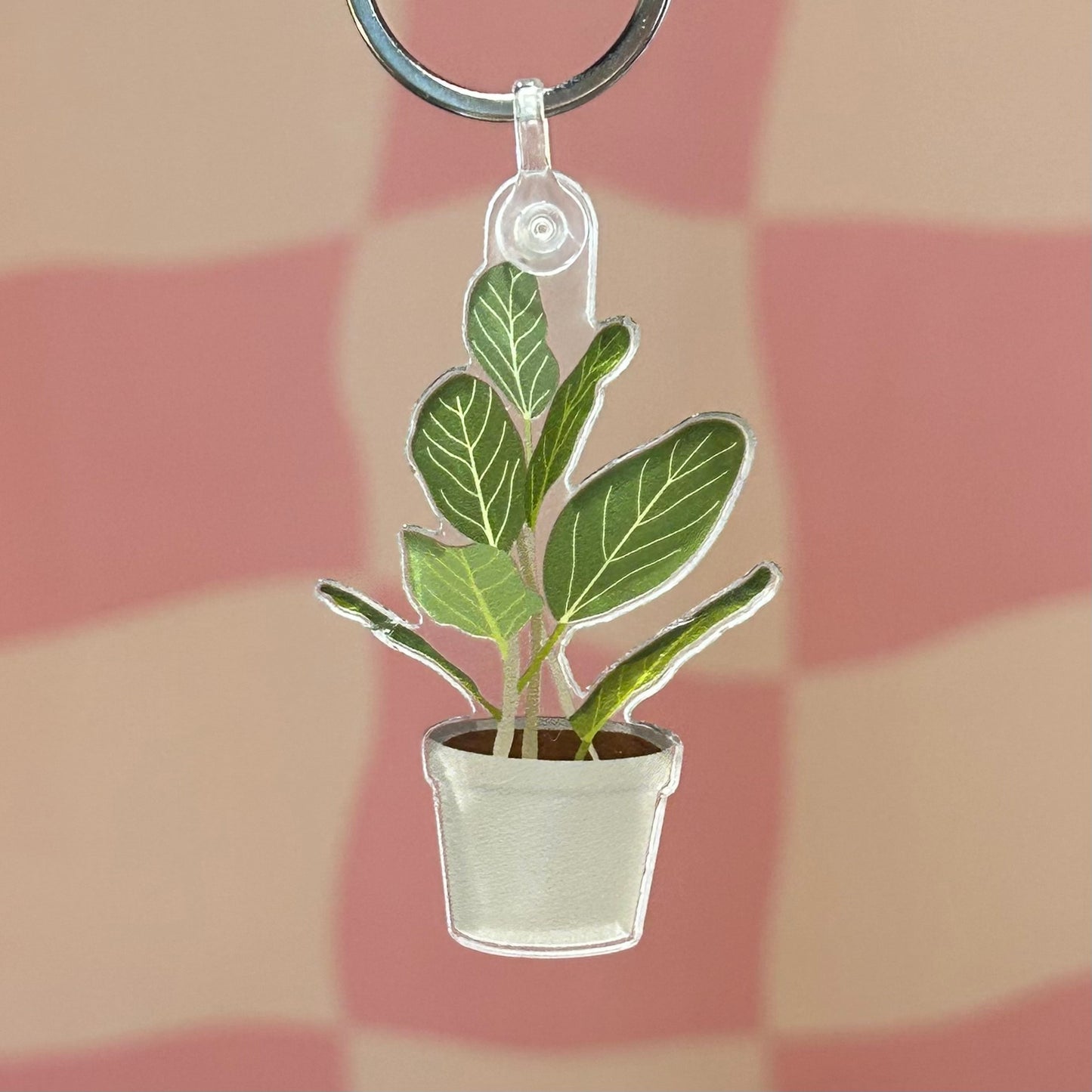 Keychain - Ficus Audrey