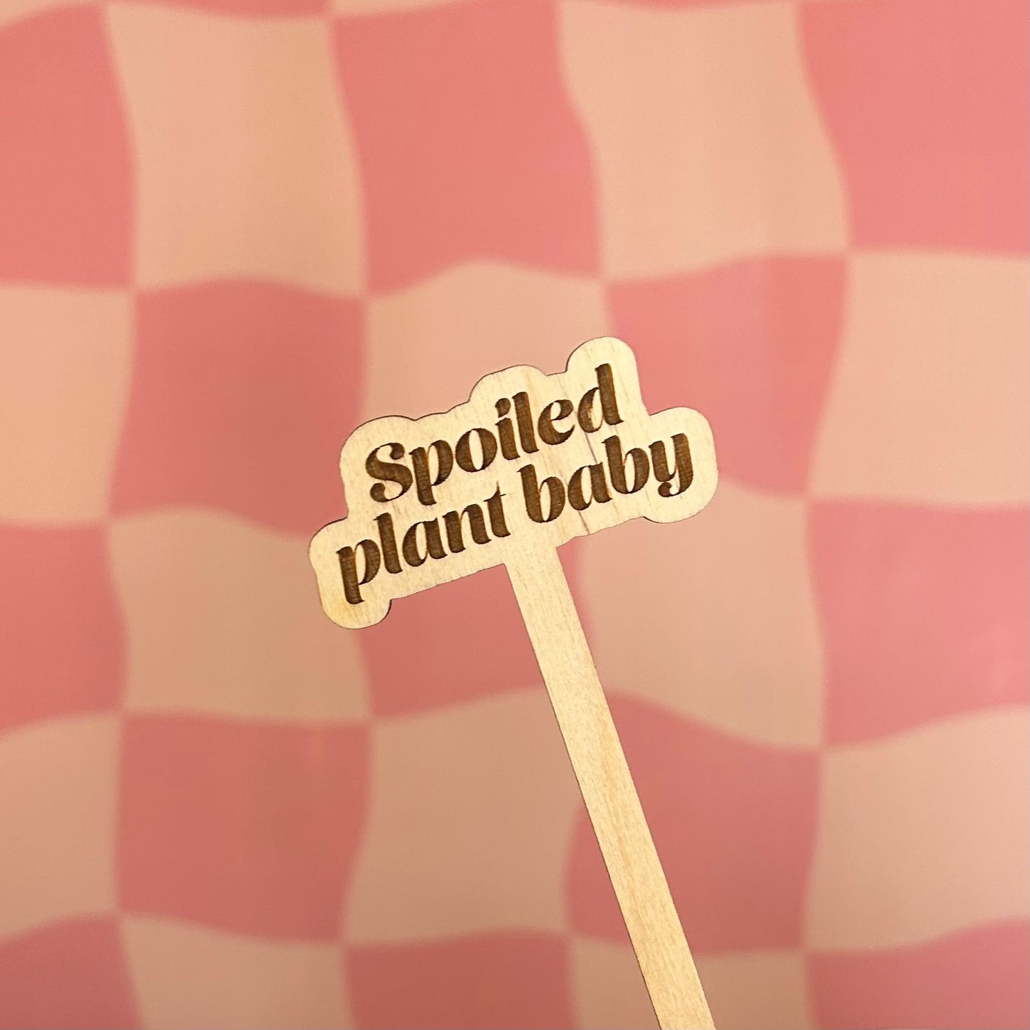Wooden Plant Stick