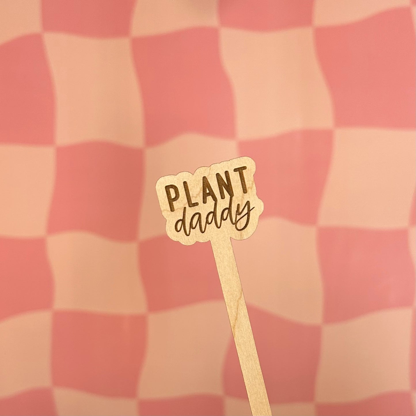 Wooden Plant Stick