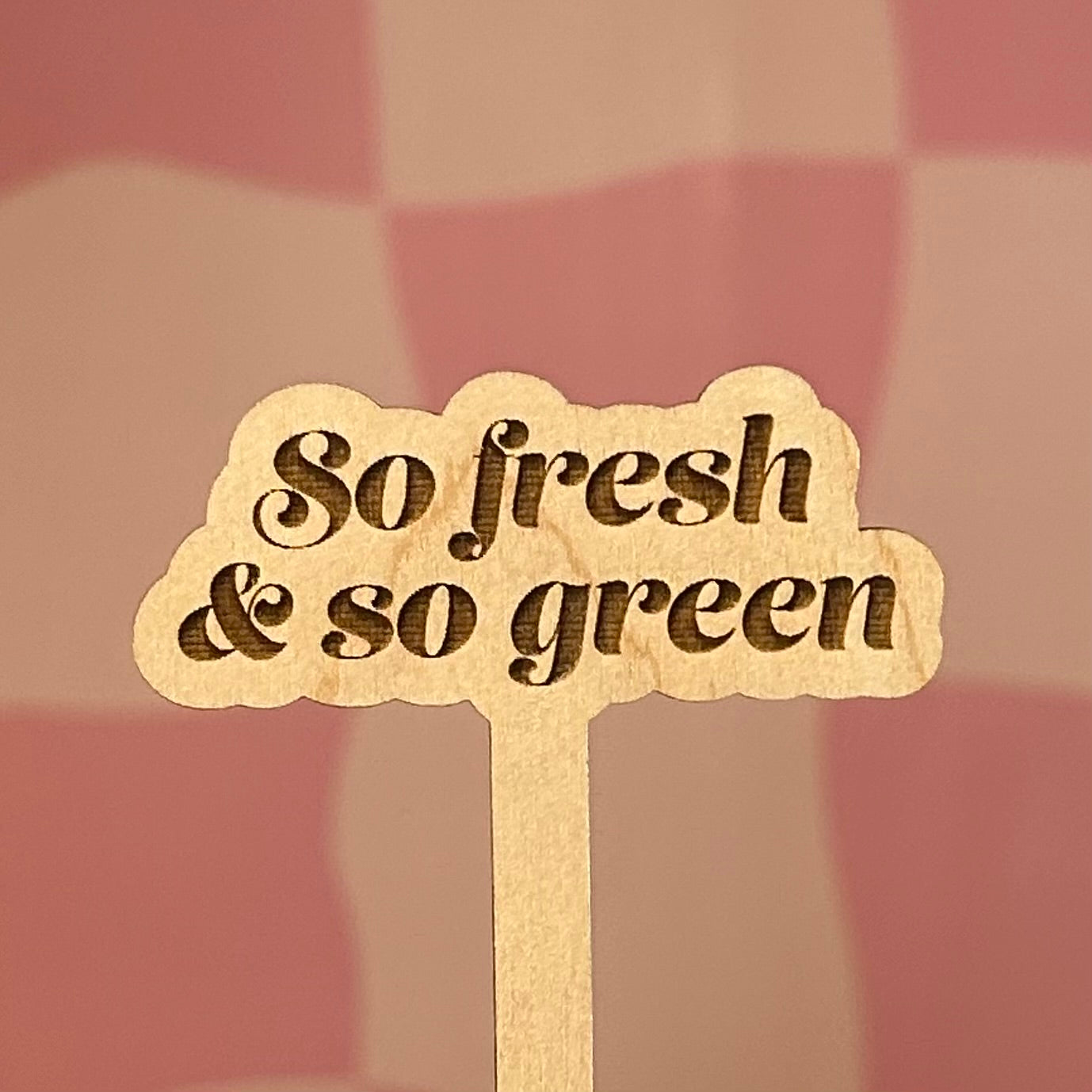 Wooden Plant Stick