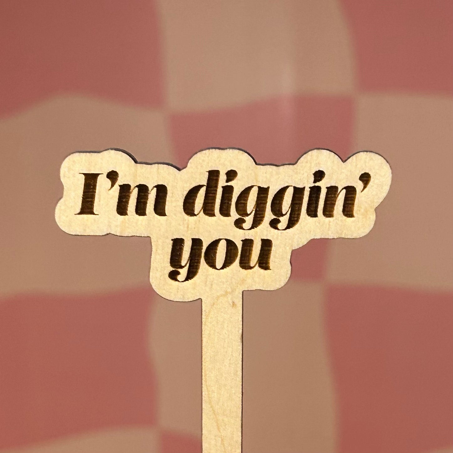 Wooden Plant Stick