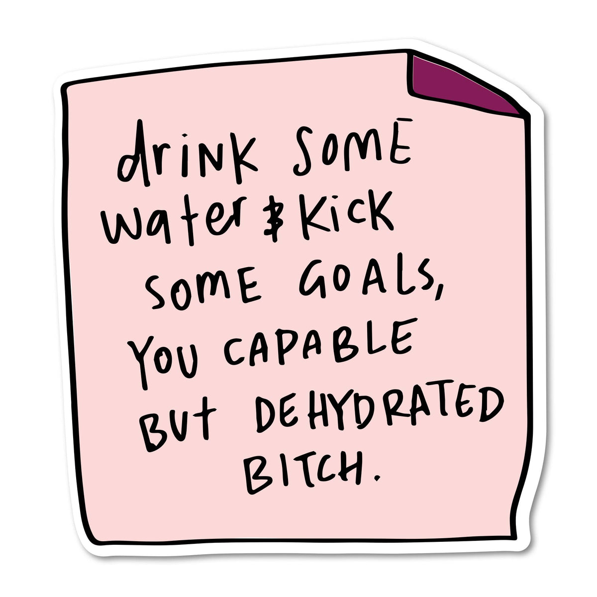 Sticker - Drink Water & Kick Goals