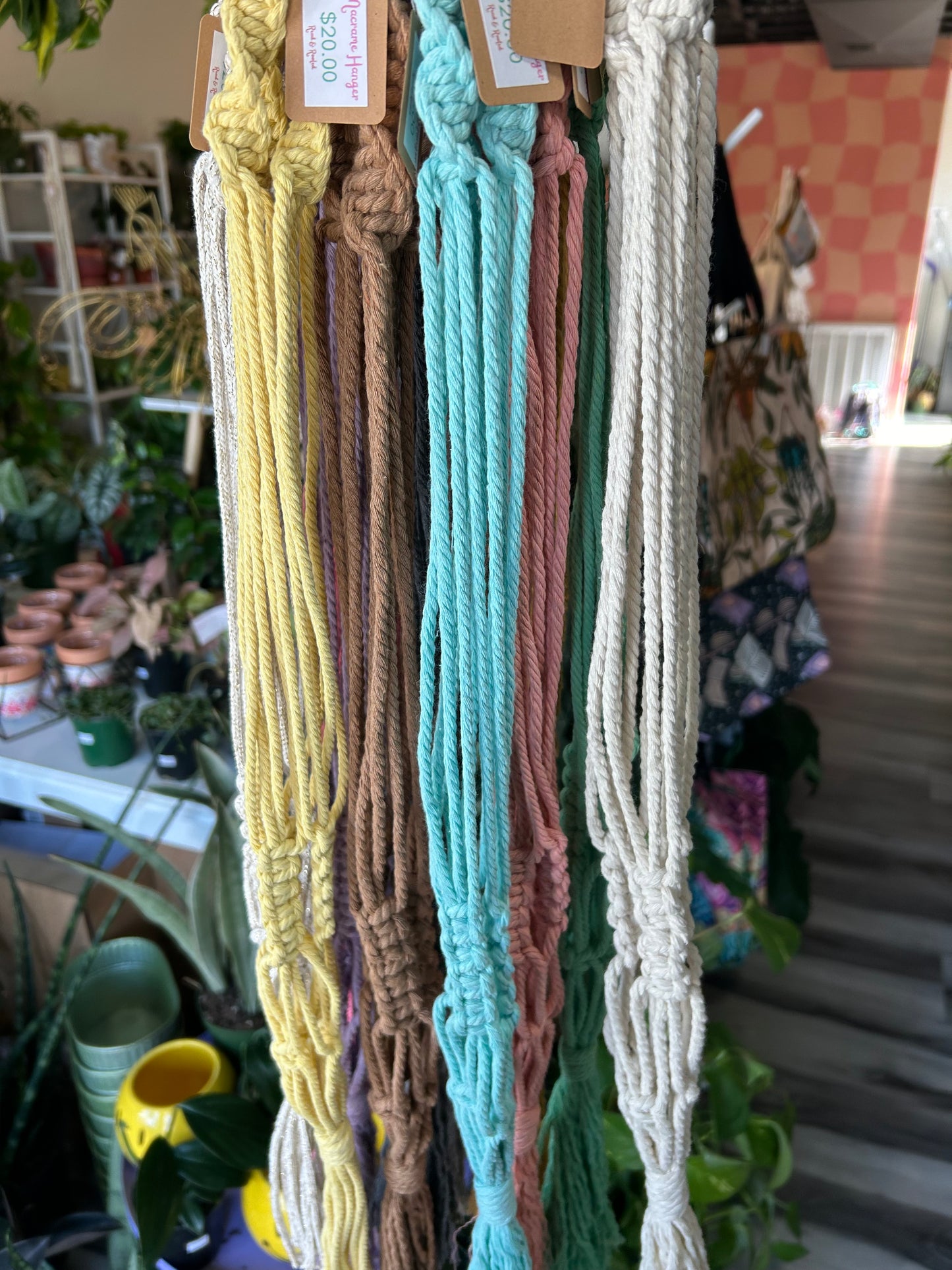 Macrame Plant Hanger