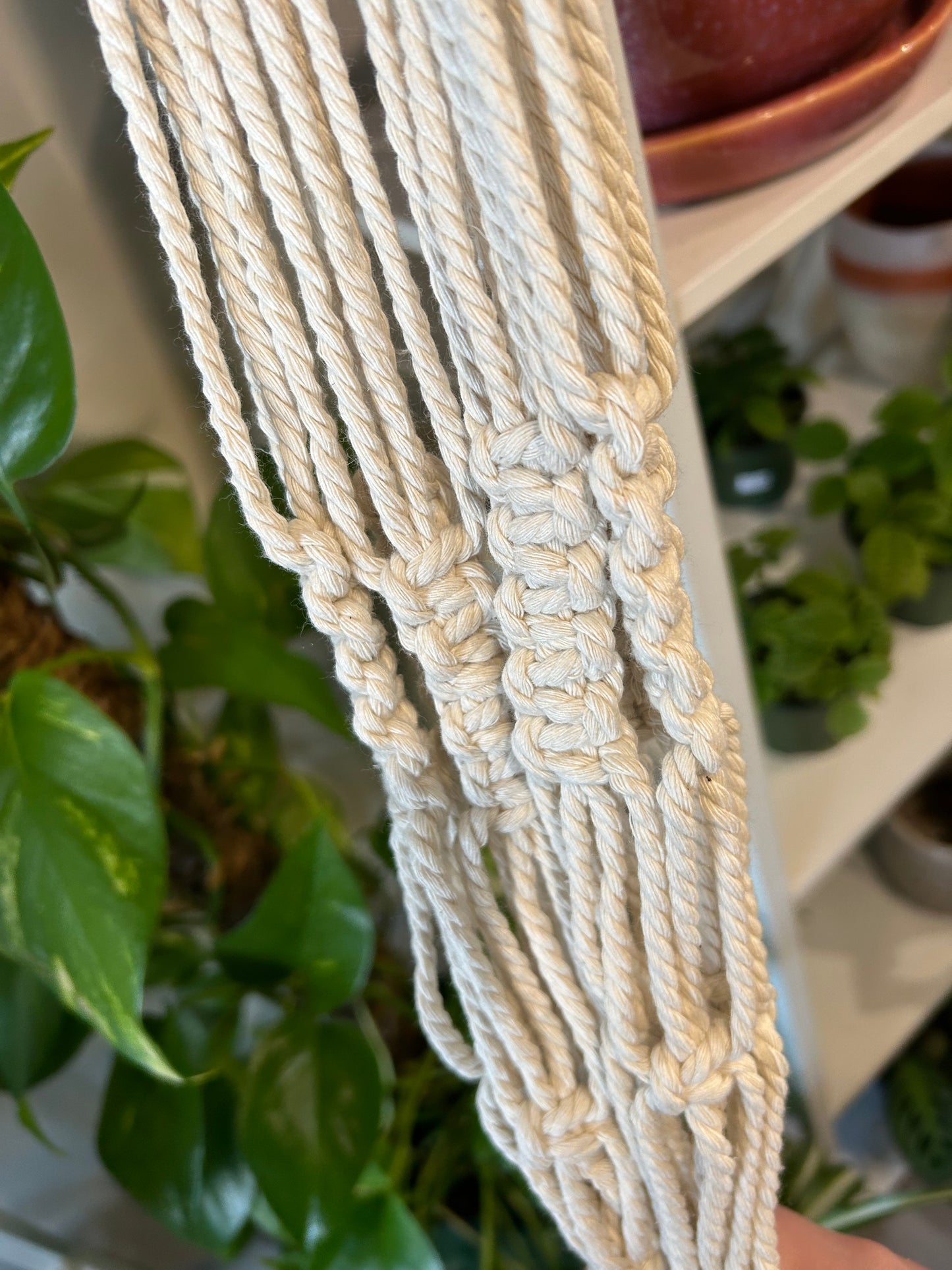 Macrame Plant Hanger