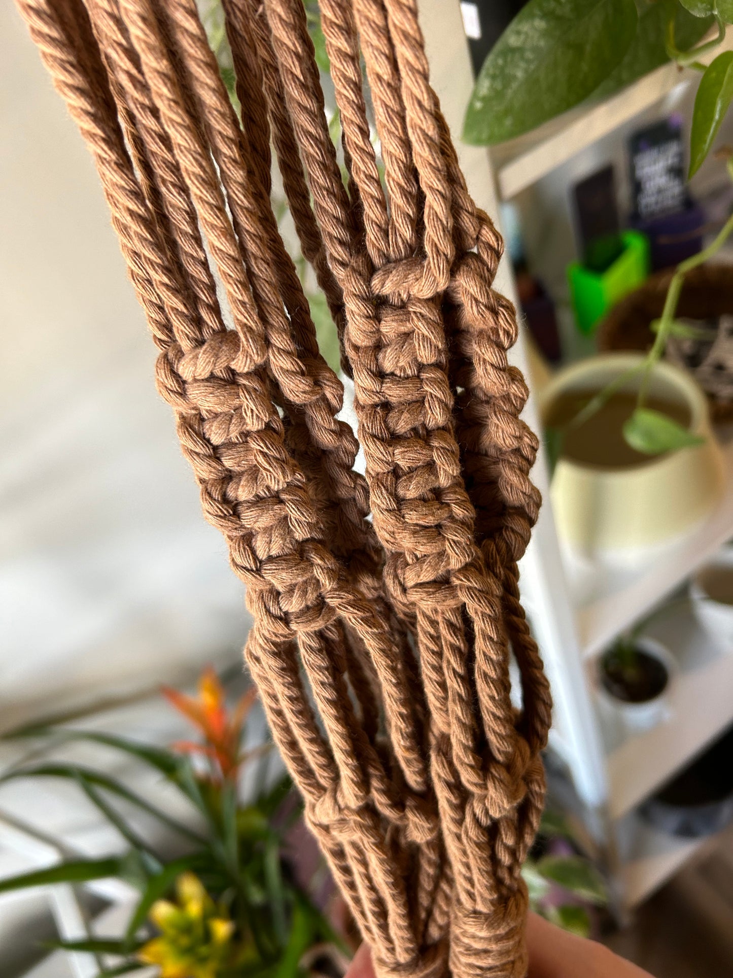 Macrame Plant Hanger