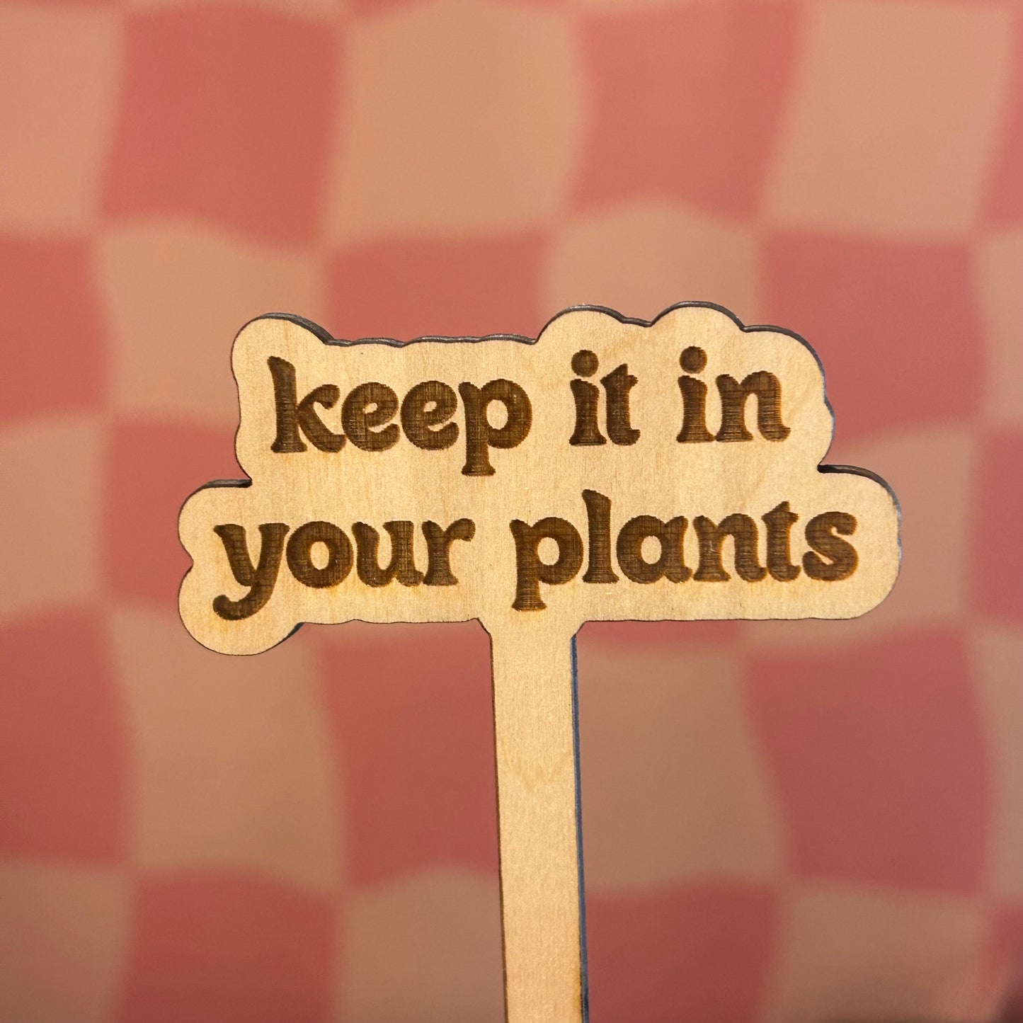 Wooden Plant Stick