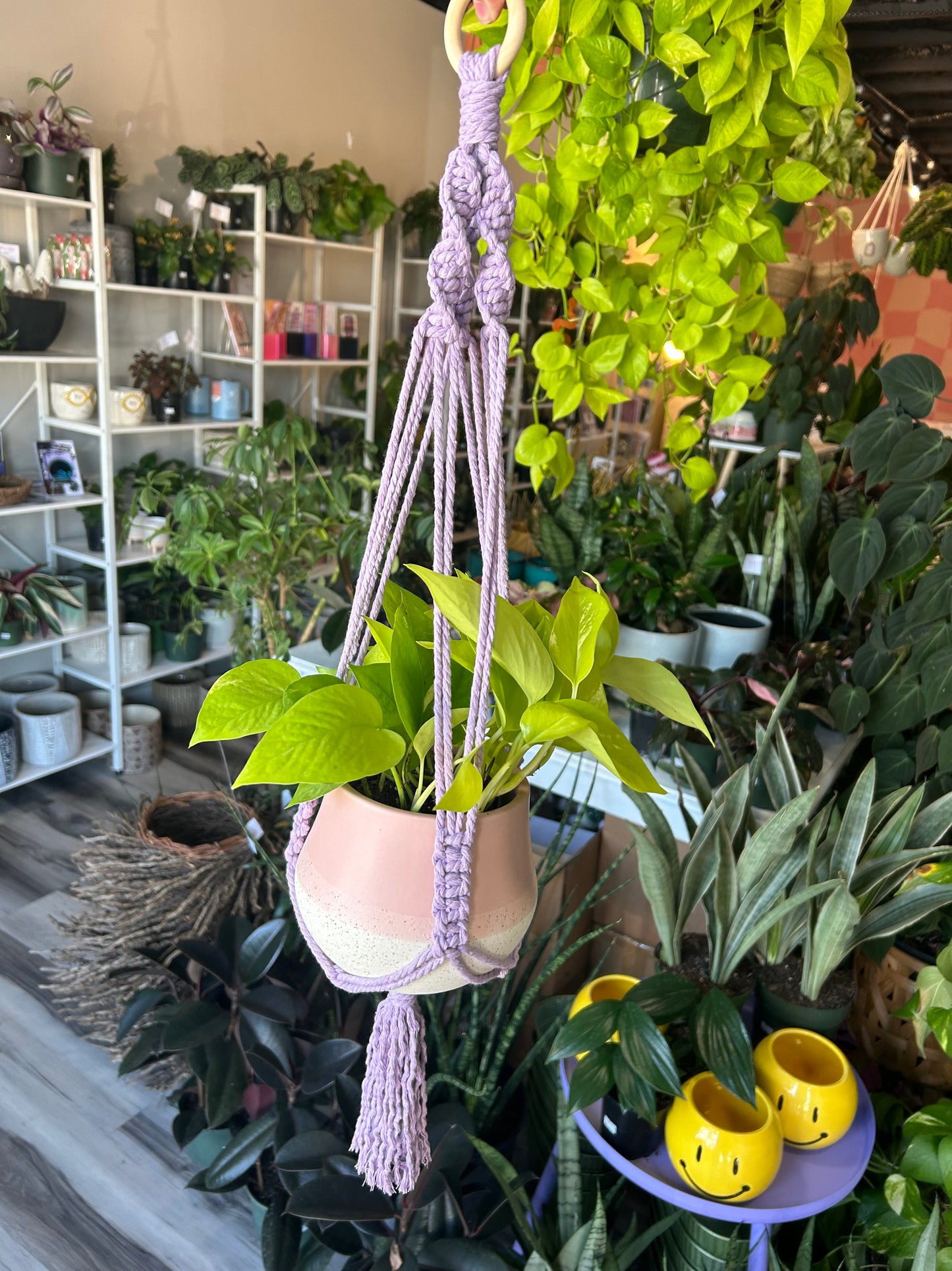 Macrame Plant Hanger