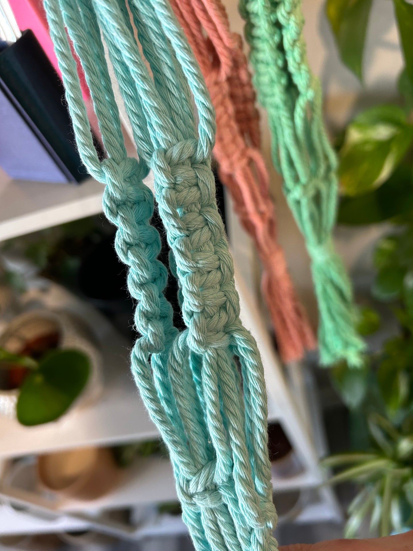 Macrame Plant Hanger