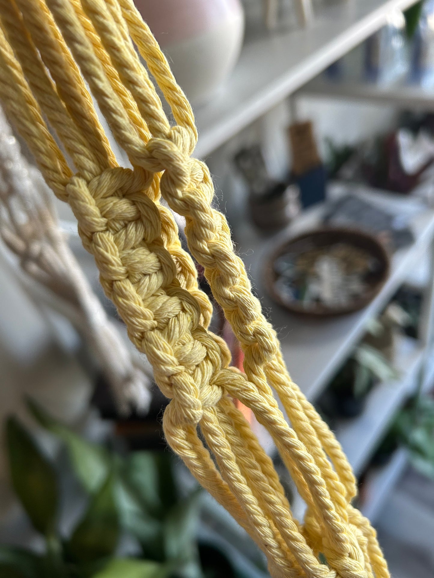 Macrame Plant Hanger