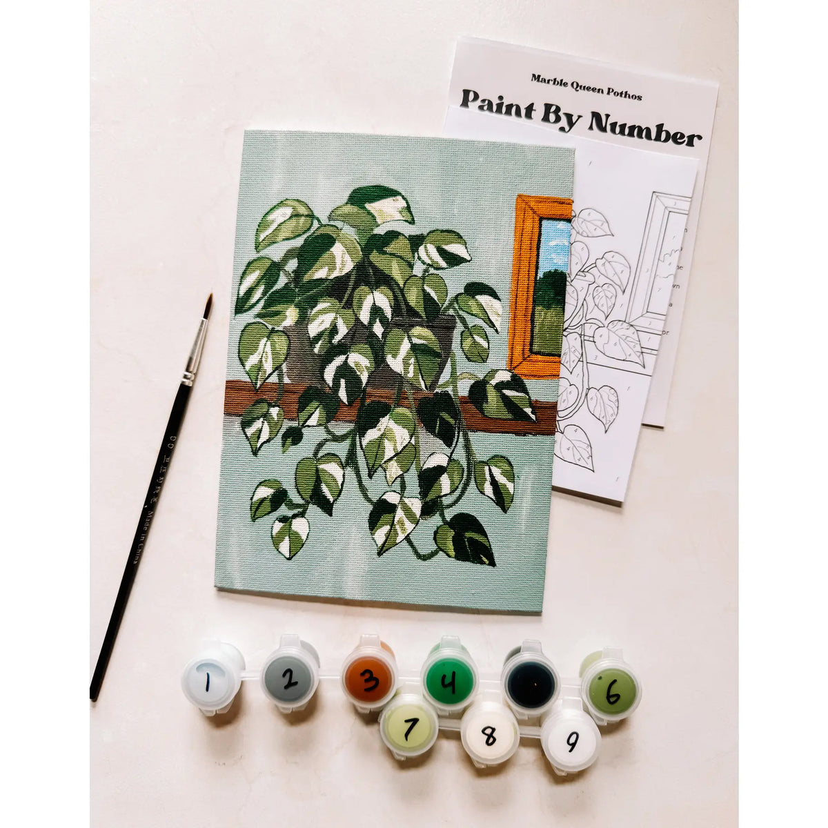 Paint by Numbers - Marble Queen Pothos
