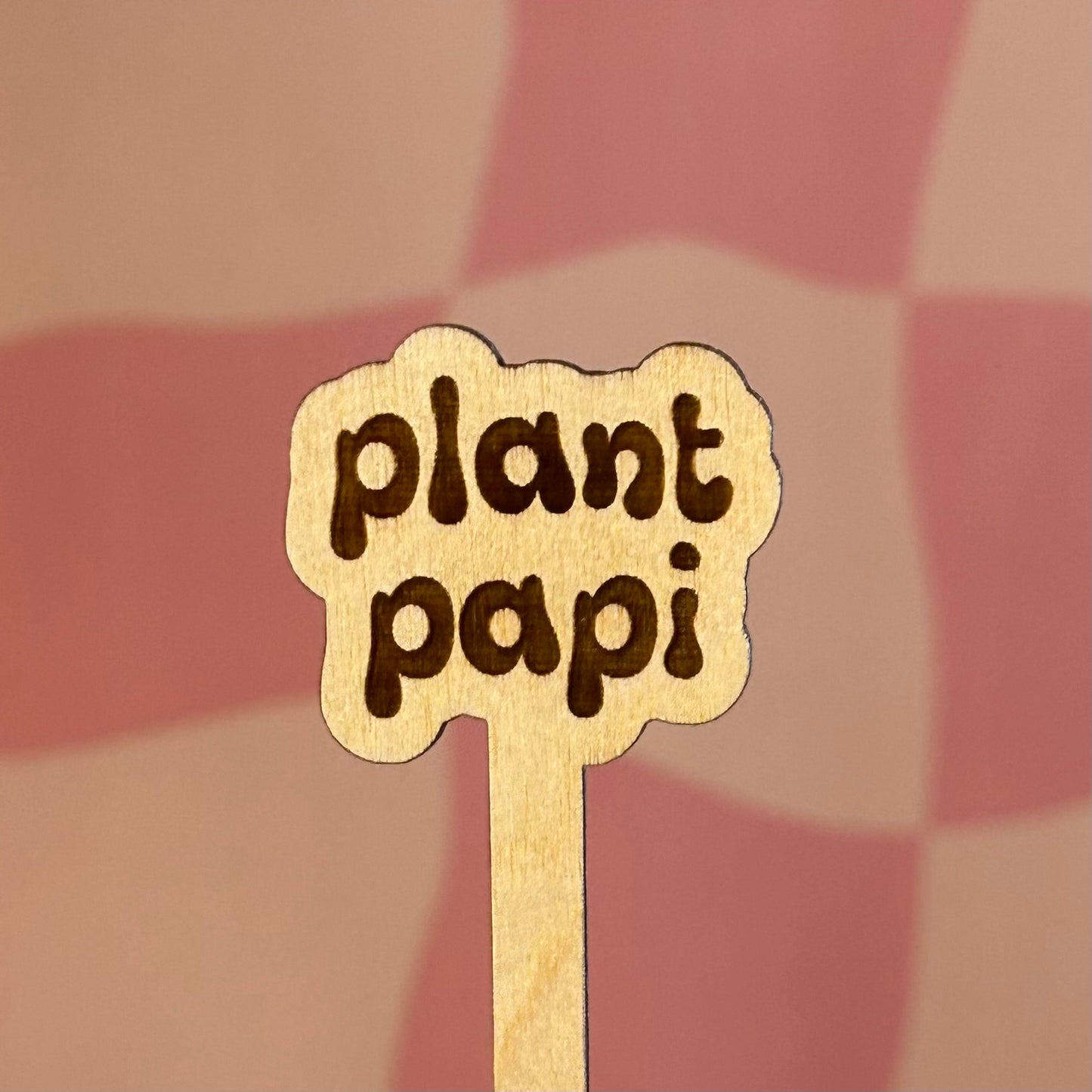 Wooden Plant Stick