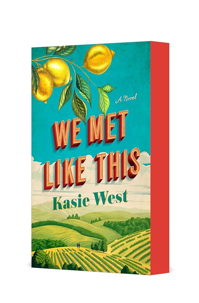 We Met Like This: A Novel cover image