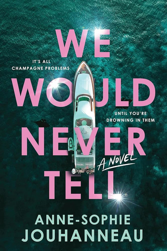 We Would Never Tell: A Novel cover image