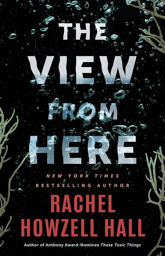 The View from Here: A Thriller cover image