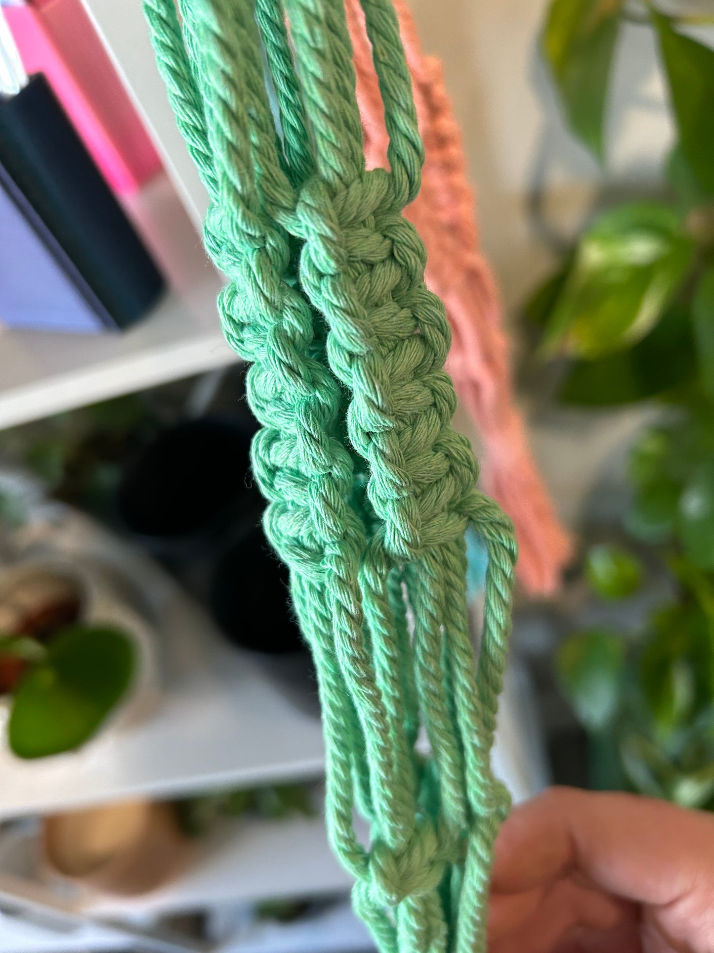 Macrame Plant Hanger