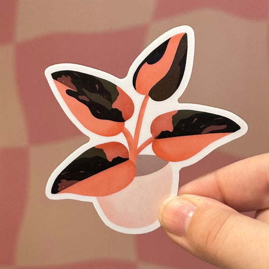 Sticker - Pink Princess Philodendron