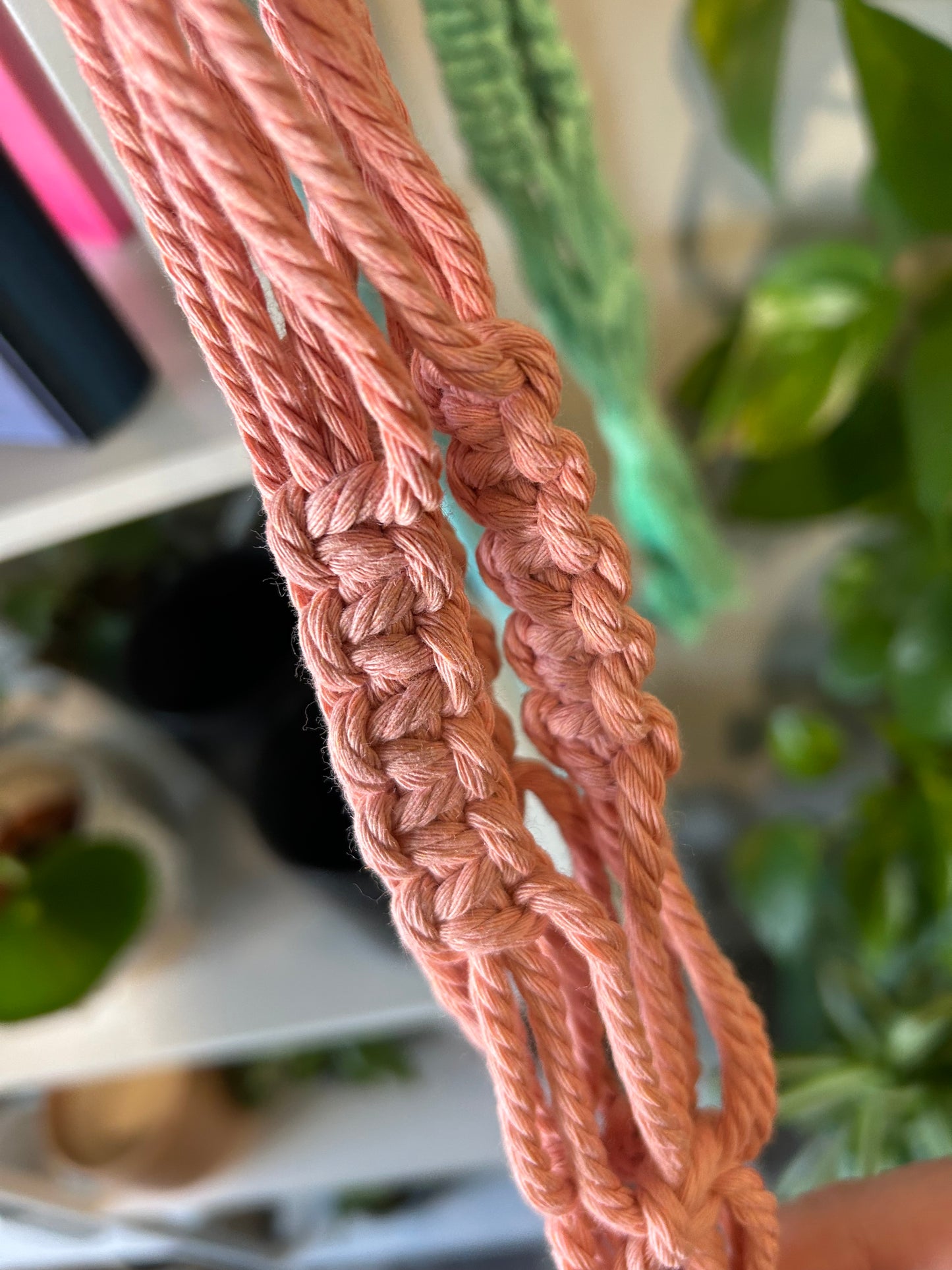 Macrame Plant Hanger