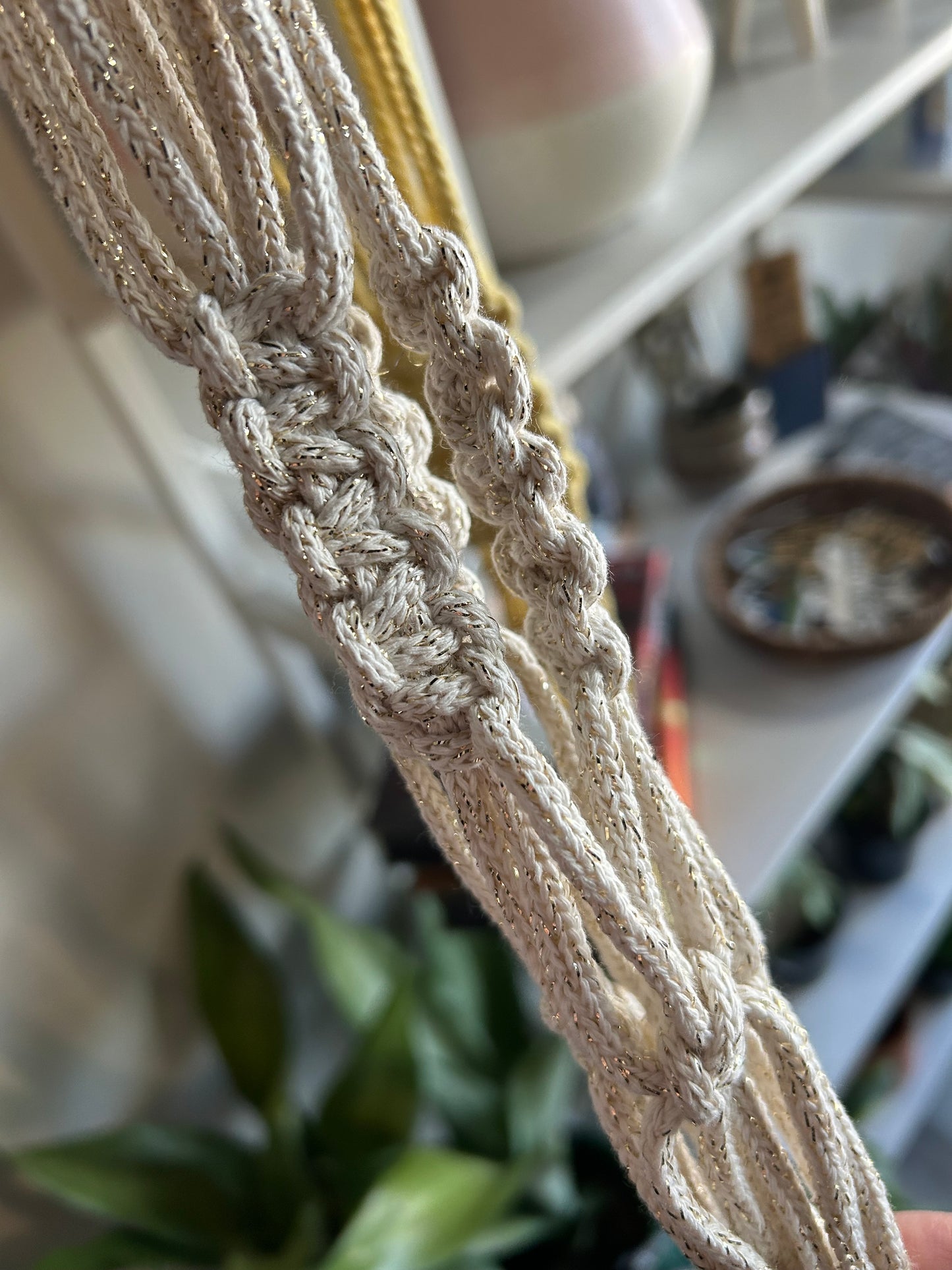 Macrame Plant Hanger