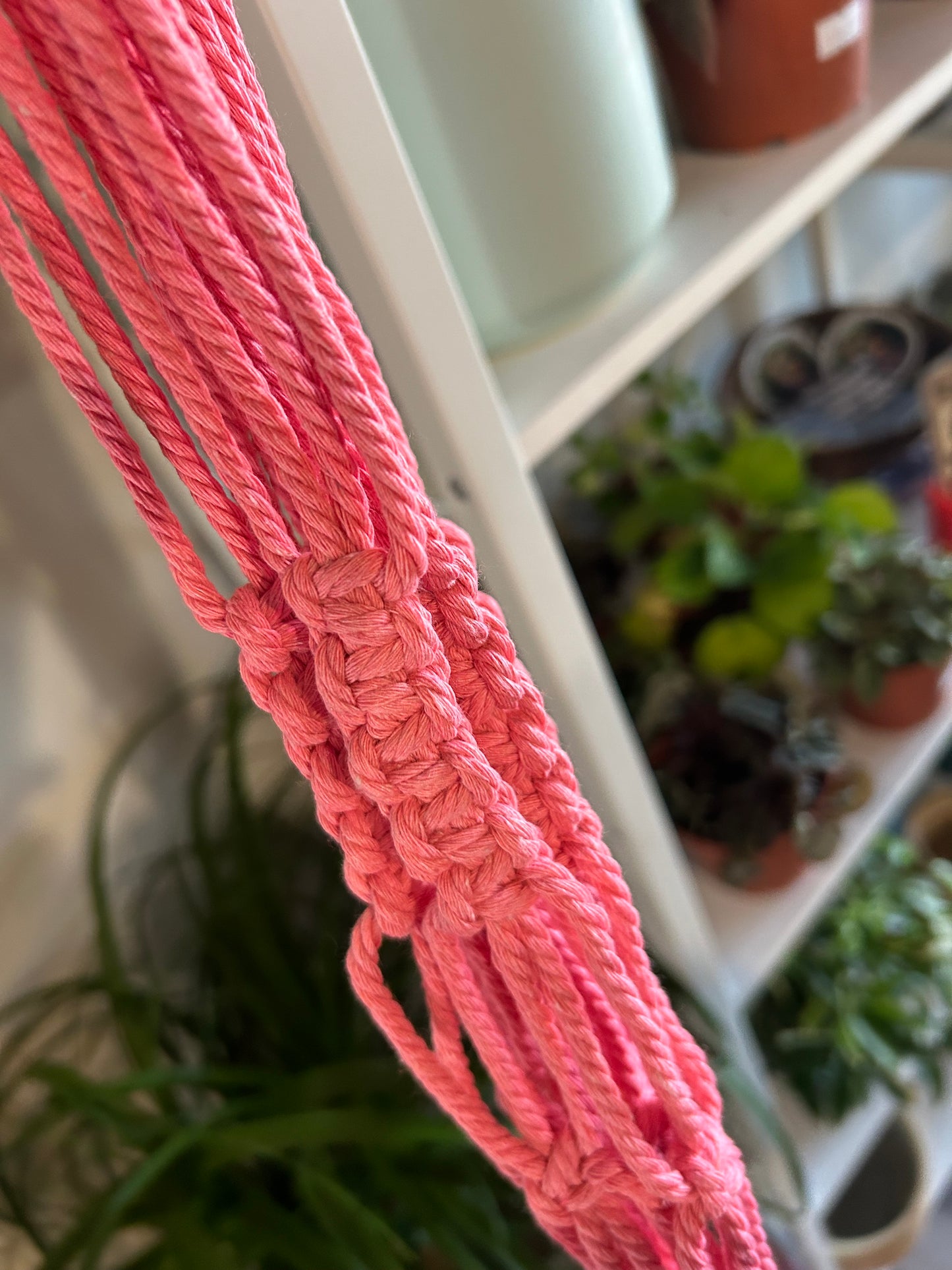 Macrame Plant Hanger