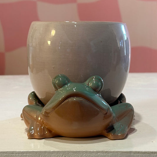 Frog Pot