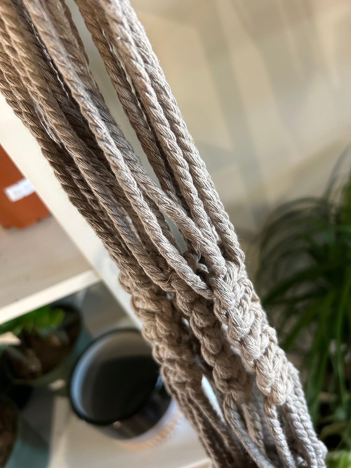 Macrame Plant Hanger