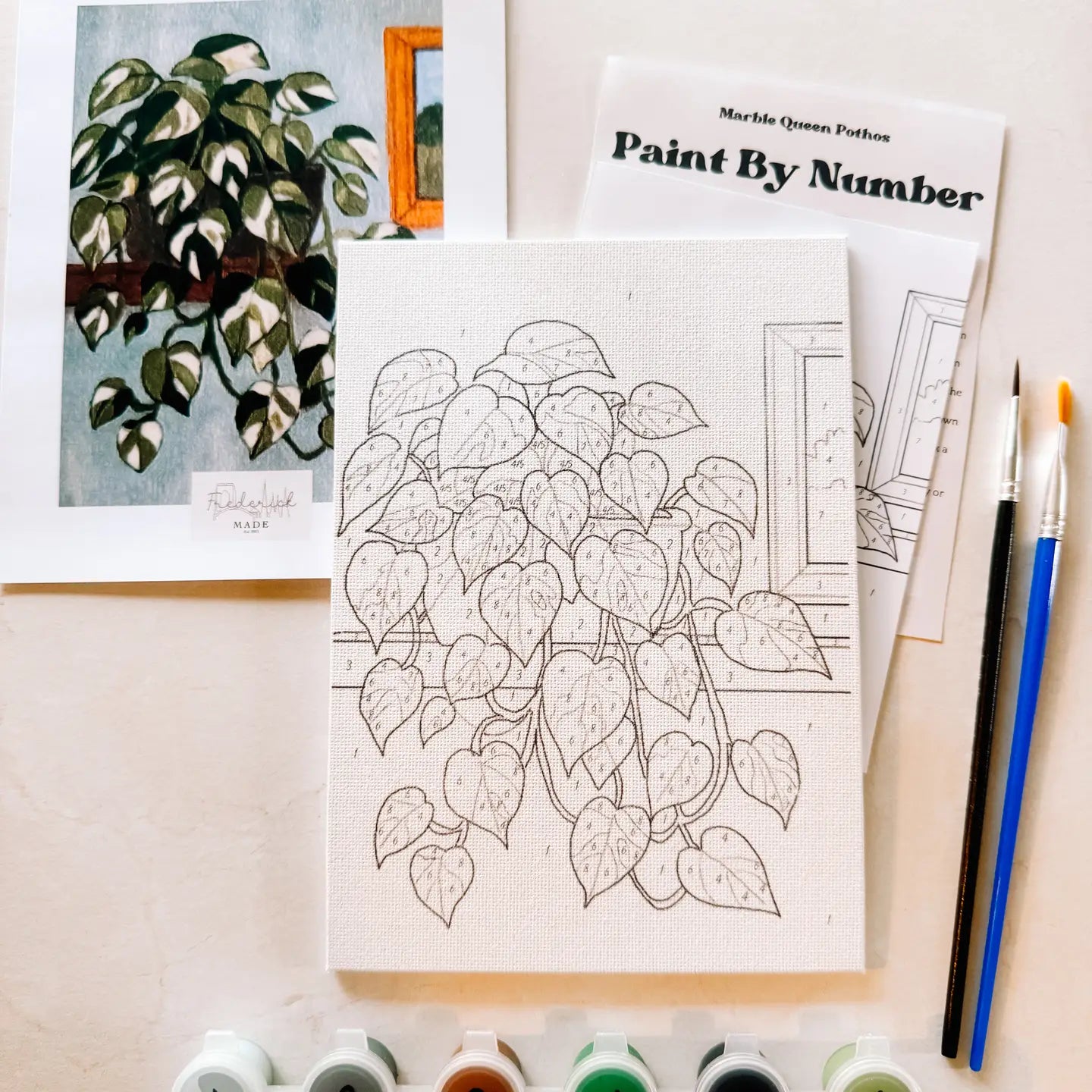 Paint by Numbers - Marble Queen Pothos