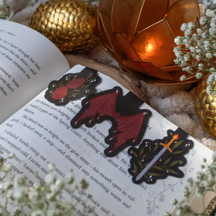 Magnetic Bookmark - Dragons Den Set