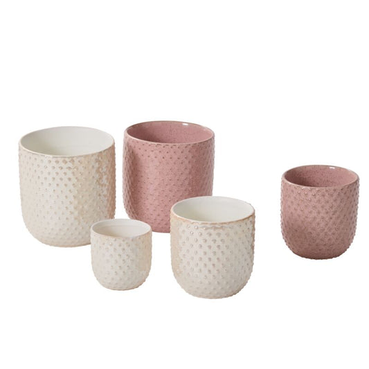 Everly Pot