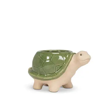 Turtle Pot