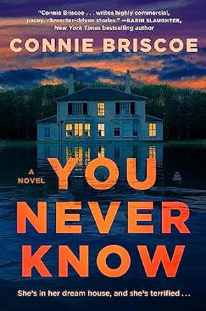 You Never Know - Connie Briscoe