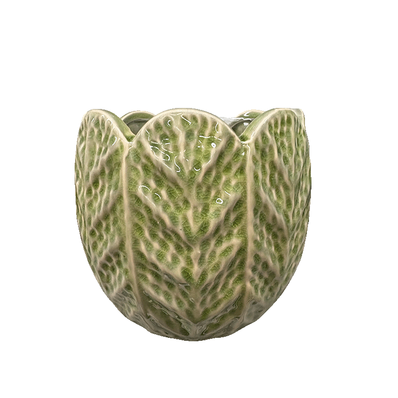 Alaia Pot